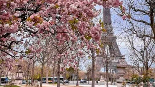 5 beautiful hotel pools in Paris: book your Day Pass — photo 2