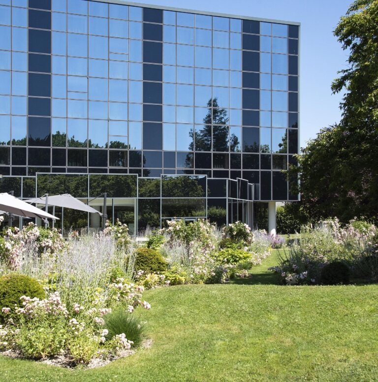 The Jangle Hotel — photo 2