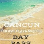 Best Cancun Day Pass at Dreams Playa Mujeres Resort — photo 3